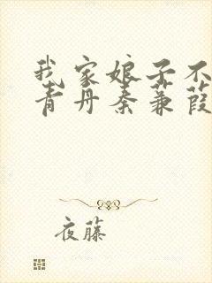 我家娘子不对劲青舟秦蒹葭