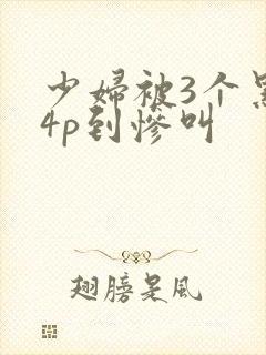 少妇被3个黑人4p到惨叫