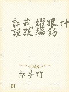 许我耀眼什么小说改编的