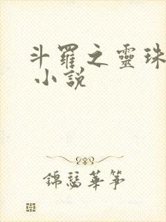 斗罗之灵珠神剑 小说