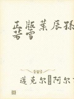 正版叶辰孙怡夏若雪