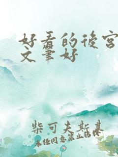 好看的后宫小说文笔好