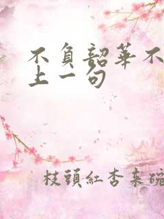 不负韶华不负卿上一句