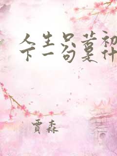 人生只若初见的下一句是什么