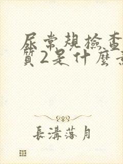 尿常规检查蛋白质2是什么意思