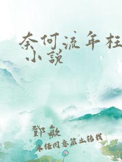 奈何流年枉情深 小说