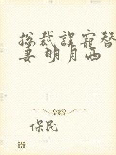 总裁误宠替身甜妻 明月西