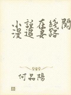 小说在线阅读漫漫追妻路