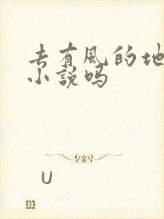 去有风的地方有小说吗