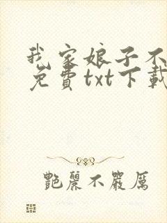 我家娘子不对劲免费txt下载
