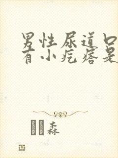 男性尿道口里面有小疙瘩是怎么回事