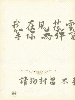 我在风花雪月里等你 无弹窗