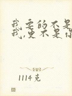 我要的不是你爱我,更不是你恨我是什么歌