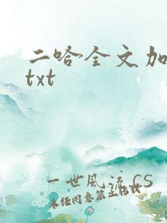 二哈全文加番外txt