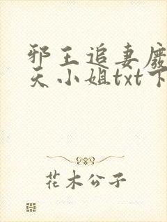 邪王追妻废材逆天小姐txt下载