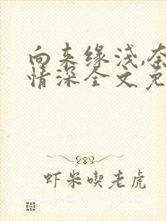 向来缘浅,奈何情深全文免费阅读