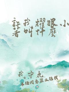 许我耀眼小说原著叫什么