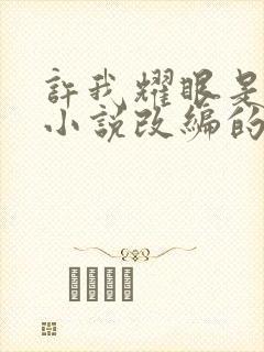 许我耀眼是哪个小说改编的