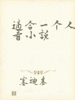 适合一个人悄悄看小说