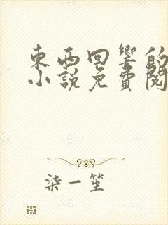 东西回响的原著小说免费阅读