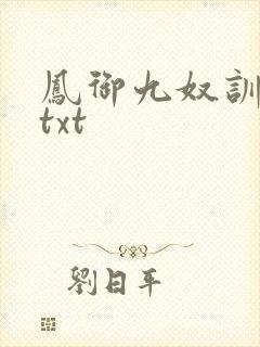 凤御九奴训诫记txt