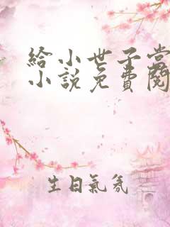 给小世子当后妈小说免费阅读全文