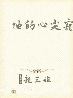 他的心尖宠全集