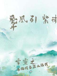 飞凰引 紫微流年