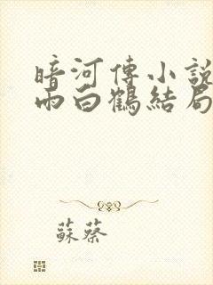 暗河传小说苏暮雨白鹤结局