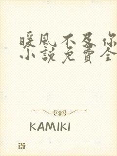 暖风不及你情深小说免费全本阅读