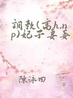 调教(高h,np)妃子妻妾