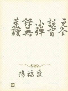 叶锋小说免费阅读无弹窗全文