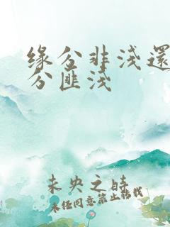 缘分非浅还是缘分匪浅