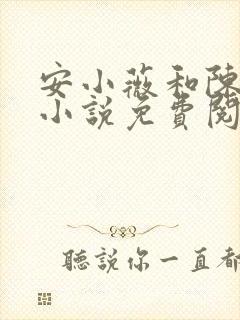 安小薇和陈小富小说免费阅读