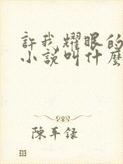 许我耀眼的原著小说叫什么