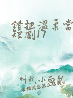 错把温柔当情深短剧17