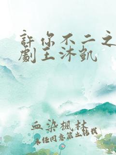 许你不二之臣短剧王沐凯