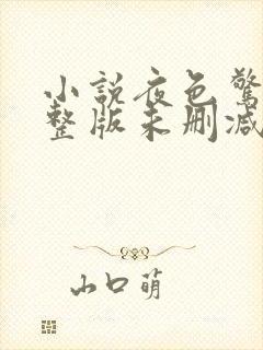 小说夜色惊人完整版未删减小说