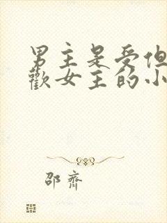 男主是受但是喜欢女主的小说