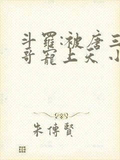 斗罗:被唐三哥哥宠上天 小说