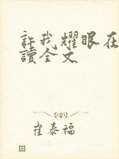 许我耀眼在线阅读全文