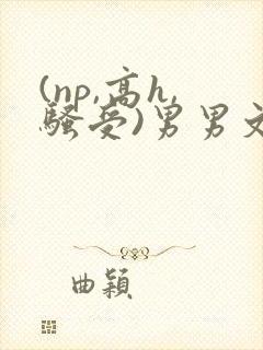 (np,高h,骚受)男男文