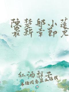 陈楚那小莲小说最新章节免费阅读