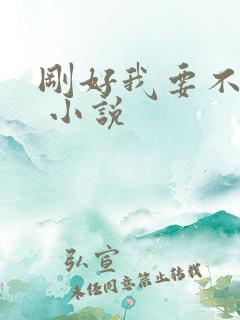 刚好我要不爱你 小说