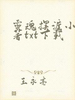 灵魂摆渡小说原著txt下载