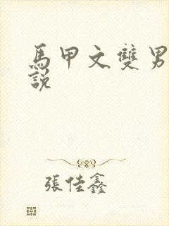 马甲文双男主小说