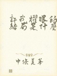 许我耀眼的小说结局是什么