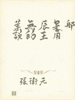 叶无辰是哪部小说的主角