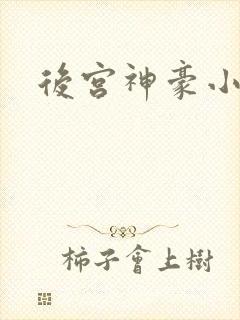 后宫神豪小说