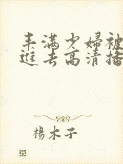 丰满少妇被猛烈进去高清播放